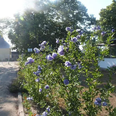 Sonnenschein Сasa de vacaciones *